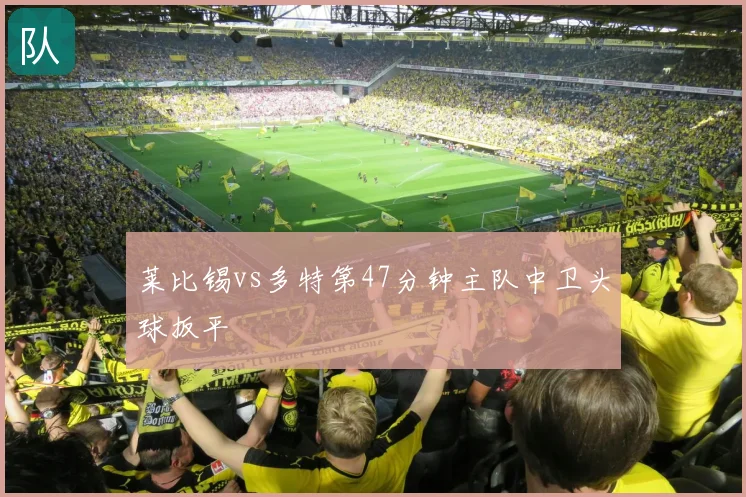 莱比锡vs多特第47分钟主队中卫头球扳平